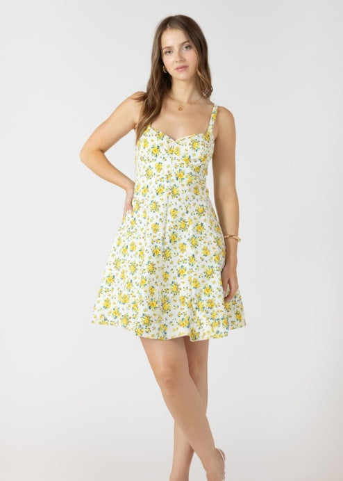 DEX-MINI DRESS