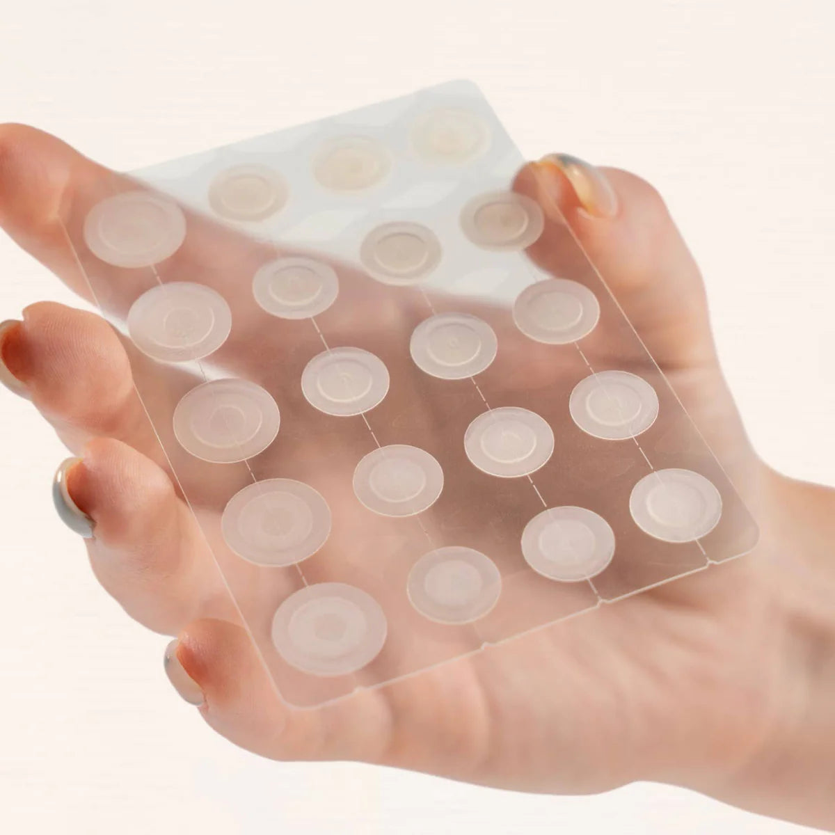 MASKERAIDE-SPOTTED DAYTIME